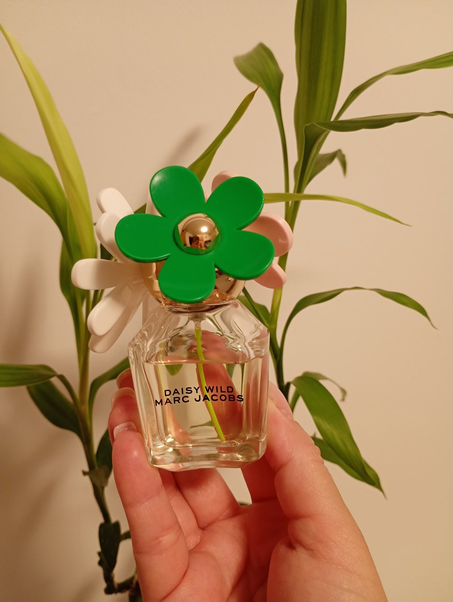 Marc Jacobs Daisy Wild Eau de Parfum Set para Mujer | 3 Piezas